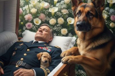The Reason The Dog Kept Barking In Front Of The Coffin—Miracle No One Could Have Imagined Happened!