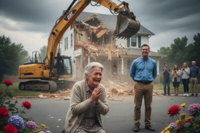 HOA Demolished My Elderly Mom’s Home For a Parking Lot—The Next Day, They Walked Into My Courtroom!