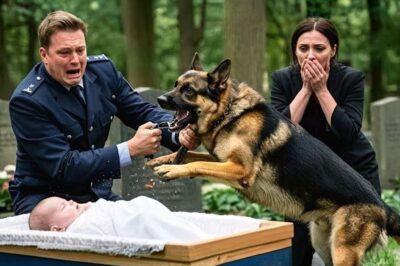 At a baby’s funeral, a shepherd dog suddenly started barking — what they found in the coffin shocked everyone.