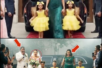 He invited his poor ex-wife to his wedding to offend her, but she arrived In Limousine + Triplets…