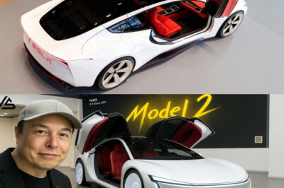 2026 Tesla Model 2: Interior, Exterior & MORE. What’s Hidden Behind?