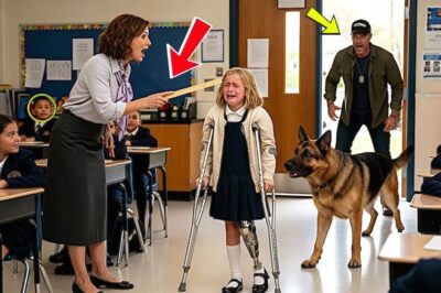 A Veteran and His Dog Came to Pick Up His Disabled Daughter — What He Saw Inside Was Horrifying