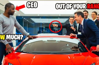 “Out of your budget!” That’s what staff told a Black man who walked into their Lamborghini showroom. But what they didn’t know was that he was the CEO and billionaire owner of the dealership. And in five minutes, their arrogance cost them everything…