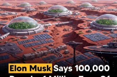 Billionaire and SpaceX CEO Elon Musk says he’s confident that Starship will soon land humans on Mars — but he’s thinking way bigger than that. Musk believes building a self-sustaining Mars colony will take over 100,000 people and 1 million tons of cargo! m