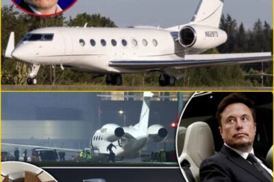 Elon Musk reveals a mind-blowing SpaceX supersonic jet, set to revolutionize how humanity travels through space. m