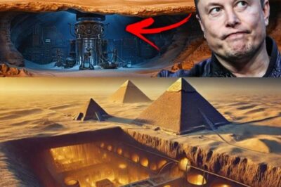 GALACTIC REVELATION!! Elon Musk Confirms “The Pyramids Were Never Tombs” — They’re Living Gateways to an Ancient Alien Civilization Still Breathing Beneath the Stones. The Truth Has Finally Stepped Out of the Shadows!