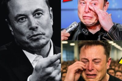 The Silence Is Deafening: The World Is Watching, But He Says Nothing — Elon Musk Faces a Private Crisis That Could Change Everything…