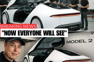 $15,990 Tesla Model 2 Finally Hits the Market! Why Is Elon Musk Calling It the “2026 Game-Changer”?
