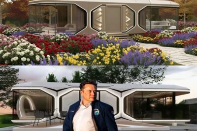 BREAKING: ELON MUSK STUNS THE WORLD WITH $7,999 TESLA TINY HOUSE — FREE LAND, ZERO TAXES, AND A FUTURE REDEFINED Elon Musk has officially launched the Tesla Tiny House, priced at just $7,999, and it’s shaking the entire real estate market. – BN