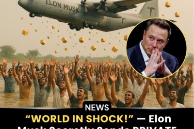 Elon Musk’s Secret Liftoff: A Private Jet, $3 Million, and 5 Tons of Food Race to Jamaica’s Aid in Hurricane Melissa’s Wake – BN