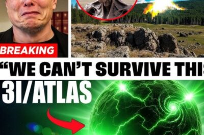 BREAKING: 3I/ATLAS Turns Back Toward Earth — Elon Musk Screams in Agony as US Navy’s Secret Weapon Provokes Alien Retaliation: “We Can’t Survive What’s Coming!”
