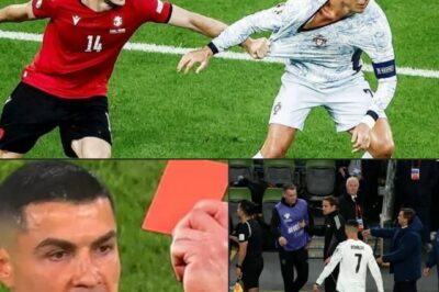 SERIOUS CONSEQUENCES FOR LIARS: Cristiano Ronaldo firmly sent a complaint to FIFA, demanding that justice be done after the truth behind the wrong decision of the Swedish referee, Glenn Nyberg, was discovered, which caused the painful defeat of the Portuguese team. Ireland’s Dara O’Shea must now face belated regrets as the truth comes to light.