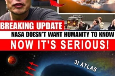 **BREAKING WORLD EMERGENCY: Elon Musk Issues Chilling Warning — “3I/ATLAS Has Evolved… It’s ALIVE.”