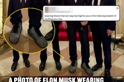 People Are Noticing Something…Strange About This Photo Of Elon Musk Visiting The White House