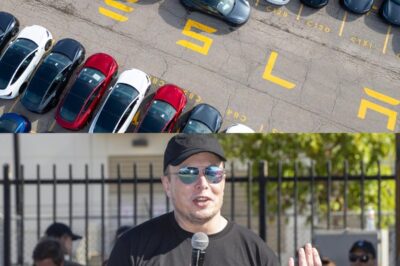 15 Minutes Ago — Tesla Strikes Back with Aggressive Strategy to Counter $7,500 EV Tax Credit Loss, Leaving Rivals on Edge! …