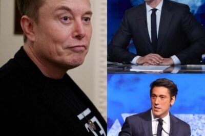 🚨 BREAKING — ABC News Anchor SUSPENDED After Elon Musk Exposes His Private Comment A Whisper Off-Air. A Storm On-Air. And the One Man Who Wouldn’t Stay Silent. 🚨