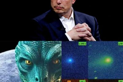 GLOBAL SEISMIC: Elon Musk causes a storm when he claims to have ‘seen from afar’ 3I/ATLAS and asserts that it is not a natural object but a giant ‘mothership’ containing millions of hibernating Draco reptilian soldiers – opening up a mysterious 2027 scenario that has stunned the world!