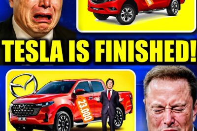Elon Musk Completely Loses It After Mazda CEO Reveals $23K Truck Better Than Tesla Cybertruck .