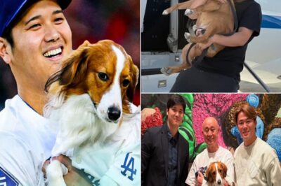 MLB SHOCK: Yoshinobu Yamamoto’s Beloved Dog “Carlos” Forms an UNEXPECTED Friendship With Shohei Ohtani’s Decoy 😱🐶🔥