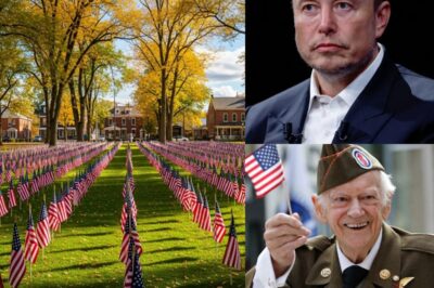 🚨 BREAKING — On 11/11: Elon Musk Allegedly Invests $10 Million to Support Affordable Housing for Veterans