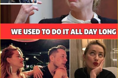 The Hidden Truth: Amber Heard Drops Bombshell About Elon Musk in Hollywood’s Most Shocking Confession.