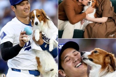 Shohei Ohtani Sparks CHAOS After Kissing His Dog Decoy Instead of His Wife During MVP Celebration