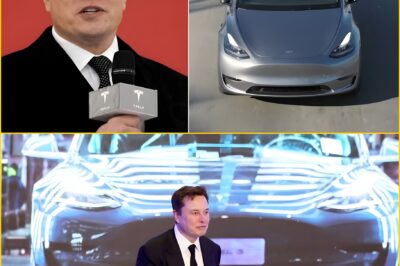 Musk and Tesla unveil secrets about Full Self-Driving just weeks from a major deadline, sending the auto industry into anticipation of a groundbreaking shift.MD