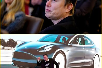 “I’ve tried to warn them!” Elon Musk declares Tesla rivals are ignoring its game-changing self-driving tech and already falling behind.