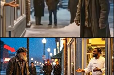 Poor Black Restaurant Owner Feeds an Old Homeless Man — What Happens Next Changes His Life..