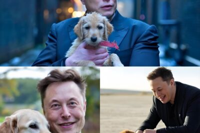 Snow was whipping sideways when Elon Musk suddenly sprinted off the road ❄️🐶—straight into a blizzard so violent it swallowed everything in white. Witnesses said they barely saw his silhouette before it disappeared. Moments later, a faint cry echoed from deep inside the storm… then silence 🌫️💔.