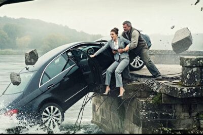 A Poor Farmer Saved a Billionaire Woman Fell from a Mountain Cliff, What She Did Next…