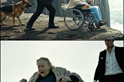 Rich Son Pushed His Paralyzed Mother Off a Cliff. But He Forgot about an ONE thing