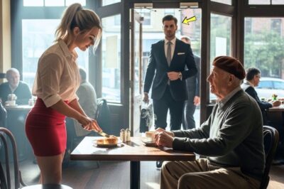 She Helped an Old Man Every Day — Until His Grandson Walked In With Lawyers and Changed Everything…