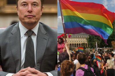 SH0CKING NEWS: Tech titan Elon Musk announces the TERMINATION of all partnerships with LGBTQ+ brands following the Tyler Robinson.