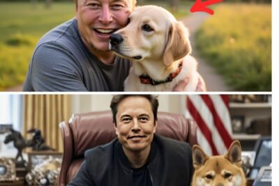 Elon Musk Opens Up About Life-Changing Puppy Adoption—The Surprising Stress-Relief Secret Everyone’s Talking About! .