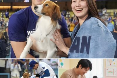 No Announcement, No Fuss: Shohei Ohtani Quietly Set Up His Own Charity For Children And Animals And The Real Reason Behind It Will Make You Cry As Soon As You Read