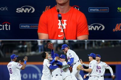 Pete Alonso Shocked The League With His Loyalty Statement. Pete Alonso Revealed That He Received A Lucrative Offer From Another Team