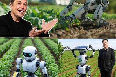 “AMAZING NEWS: Elon Musk Unveils Super Robot That Could Revolutionize Agriculture — Is This the Future of Farming?”