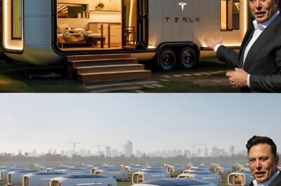 Elon Musk stuns fans with a surprise reveal — just 4 minutes ago, he announced the launch of Tesla’s revolutionary Tiny House.