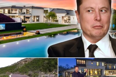 The truth behind the image of the humble billionaire: Elon Musk is secretly living in a $12 million riverside property