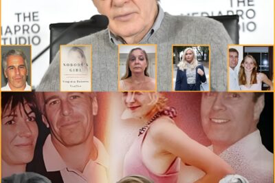 THE ICONIC VOICE OF NEW YORK ON SCREEN OFFICIALLY EXPLODES — WOODY ALLEN officially breaks his silence, and what he says is sending shockwaves across the world.