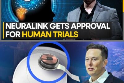 Elon Musk’s company has caused a sensation by unveiling brain-chip implantation technology that takes just 1.5 seconds with near-perfect precision. The intelligent robotic system can automatically avoid tiny blood vessels, marking a major breakthrough in brain–machine interfaces. 🧠⚡