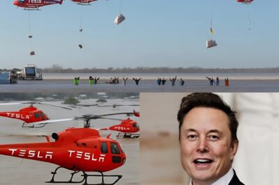 BREAKING: 8 Private Jets Loaded With Nearly 3 Tons of Emergency Food Take Off From California — Elon Musk’s ‘Block A’ Logo Sparks Speculation