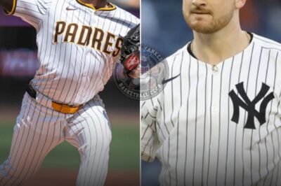 🔥 HOT NEWS: Yankees’ Michael King Report Finally Confirms What Fans Have Quietly Known All Along ⚡