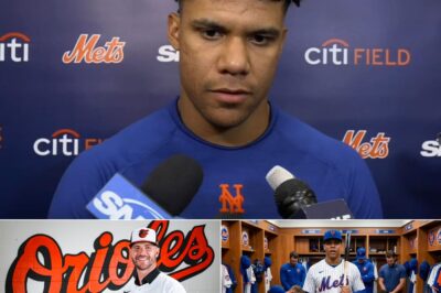 “Steve Cohen, You Shouldn’t Be Criticizing Anyone But Yourself; Nobody Made Any Offer To Pete Alonso,” Juan Soto Declared Angrily, A Statement That Silenced The Dressing Room