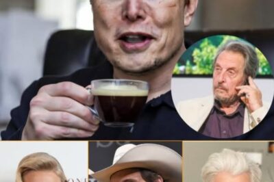 FAMILY SECRETS REVEALED: Explosive Memoir vs. Bombshell Documentary Ignites a Global Musk Family Media War.