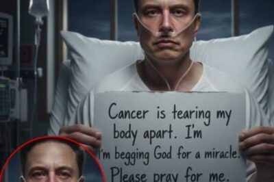 “IF THIS IS THE LAST TIME…” — Elon Musk’s haunting statement sparks speculation, prompting fans around the world to light candles and offer prayers.