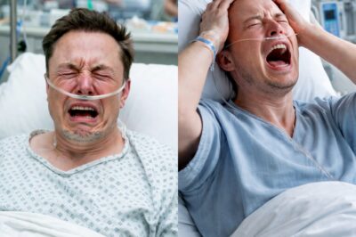 A 12-Hour Nightmare Ends — A Viral Photo From Elon Musk’s X Account Sparks Global Panic