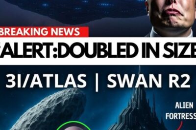 ELON MUSK ISSUES FINAL WARNING: “3I/ATLAS Is Beyond Our Control—Preparing for Arrival!”