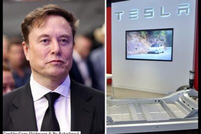 Tesla faces scrutiny as board chair Robyn Denholm champions Elon Musk’s $1 trillion deal, highlighting ambition and mobility’s next era.